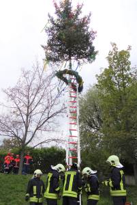 maibaum DSC00221[7855]